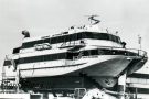 Adler Blizzard ©Gerd Fiebiger img415 Kopie