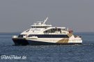 Adler Cat Copyright TimWagner IMG_8207