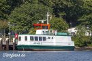 Adler I Copyright TimWagner IMG_8872