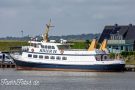 Adler IV Copyright TimWagner IMG_5459