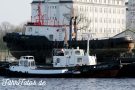 Adler Polar ©Cai Rönnau IMG_8991 Kopie