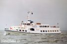 Adler XI Copyright Ulrich Streich