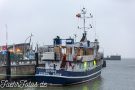 Artemis Copyright TimWagner IMG_0575