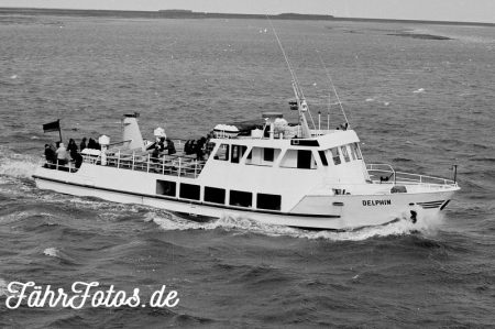 DELPHIN 3.75 © Achim Borchert