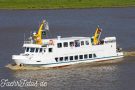 Dollard Copyright TimWagner IMG_9883