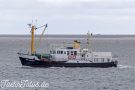 Ekke Nekkepen Copyright Timwagner IMG_7107