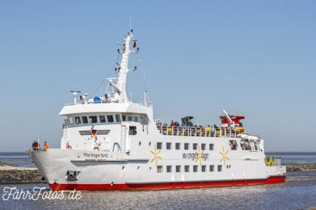 Harlingerland Copyright TimWagner IMG_1480