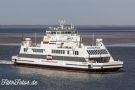 Norderaue Copyright TimWagner IMG_8072
