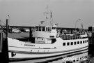 SPIEKEROOG IV (1) © Achim Borchert