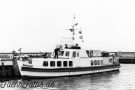 Seehund I ©Gerhard Fiebiger img20241103_0525 Kopie