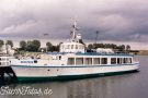 Seestern ©Ulrich Streich IMG_20200328_0045 Kopie