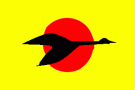 Skanfahrt