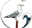Wassermeier